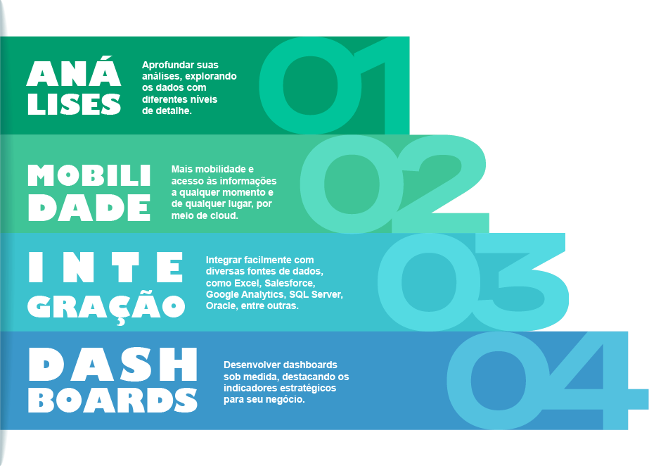 Infografico do BSA